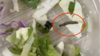 CHP SAPANCA'DAN KYK KIZ ÖĞRENCİ YURDU HAKKINDA AÇIKLAMA CHP SAPANCA'DAN KYK KIZ ÖĞRENCİ YURDU HAKKINDA AÇIKLAMA